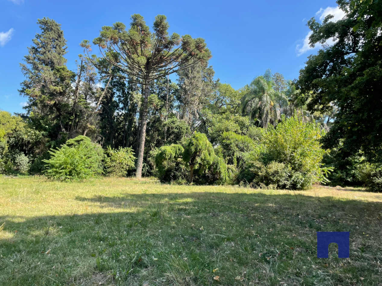 Lote en Moreno Sur - Nuevo Loteo "Pinares de Moreno"
