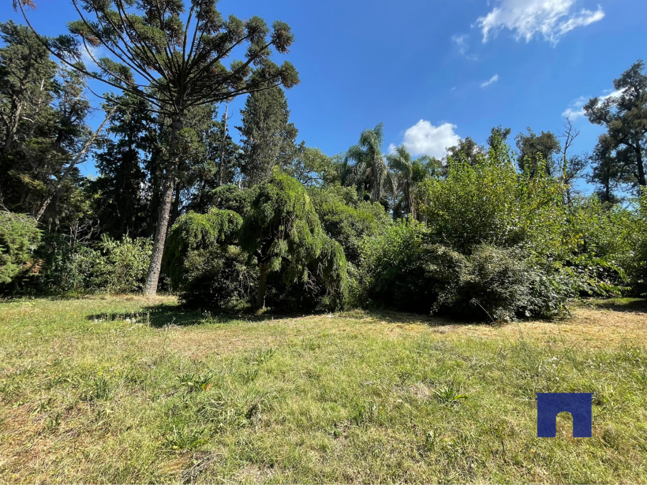 Lote en Moreno Sur - Nuevo Loteo "Pinares de Moreno"