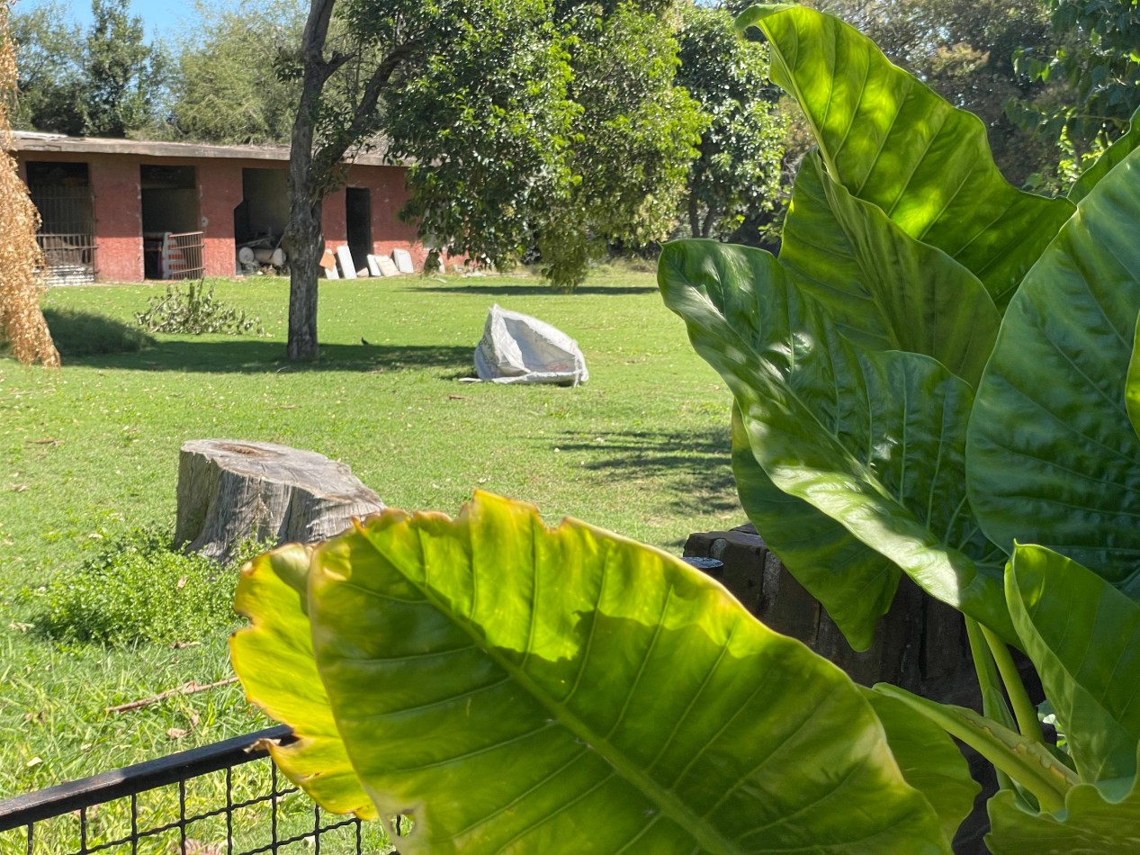 Quinta en Libertad Merlo - Ideal Paddel Escuelita Futbol