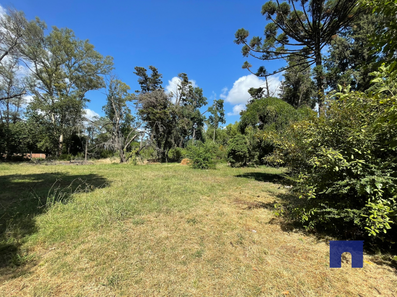 Lote en Moreno Sur - Nuevo Loteo "Pinares de Moreno"