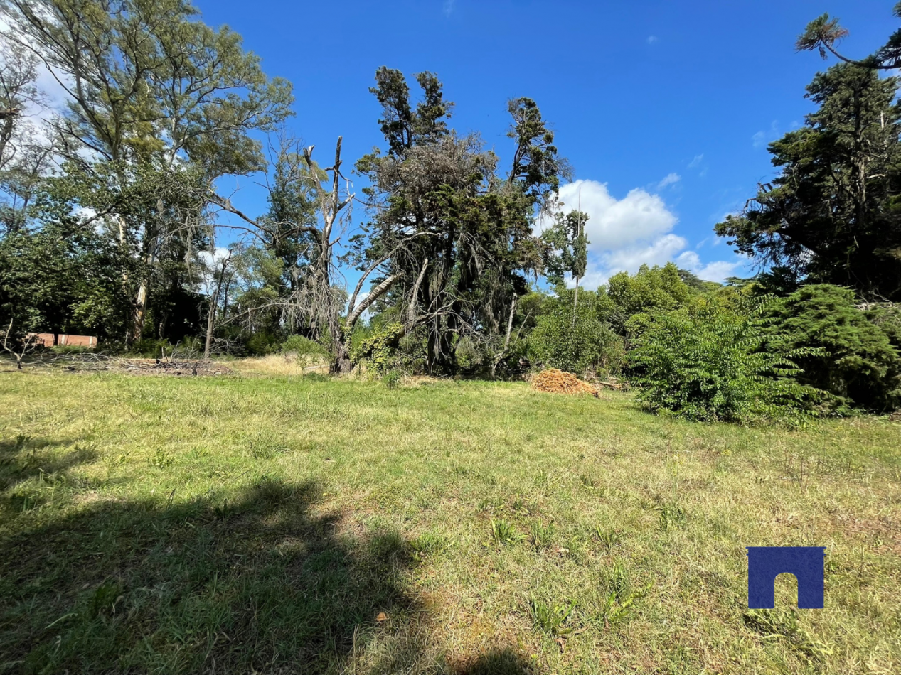 Lote en Moreno Sur - Nuevo Loteo "Pinares de Moreno"