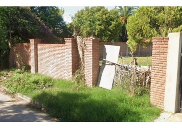 LOTE PASO DEL REY 